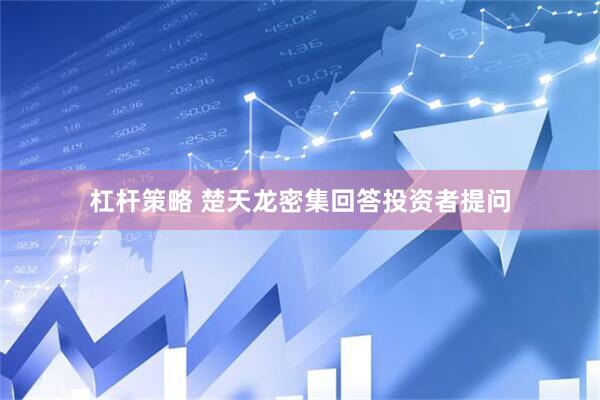 杠杆策略 楚天龙密集回答投资者提问