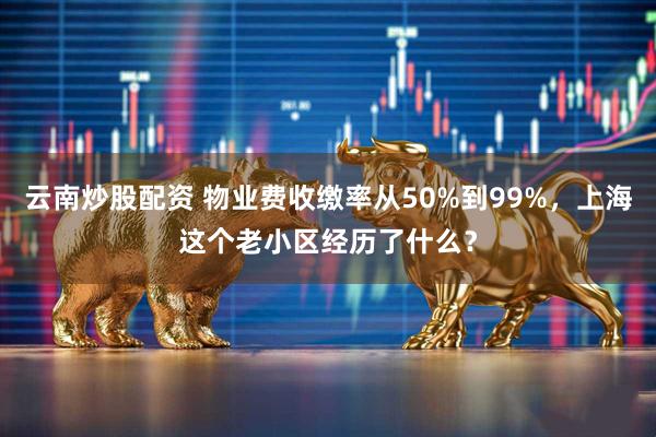 云南炒股配资 物业费收缴率从50%到99%，上海这个老小区经历了什么？