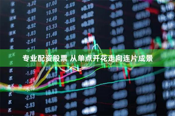 专业配资股票 从单点开花走向连片成景